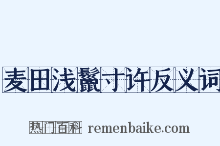 麦田浅鬣寸许反义词是什么意思的图片